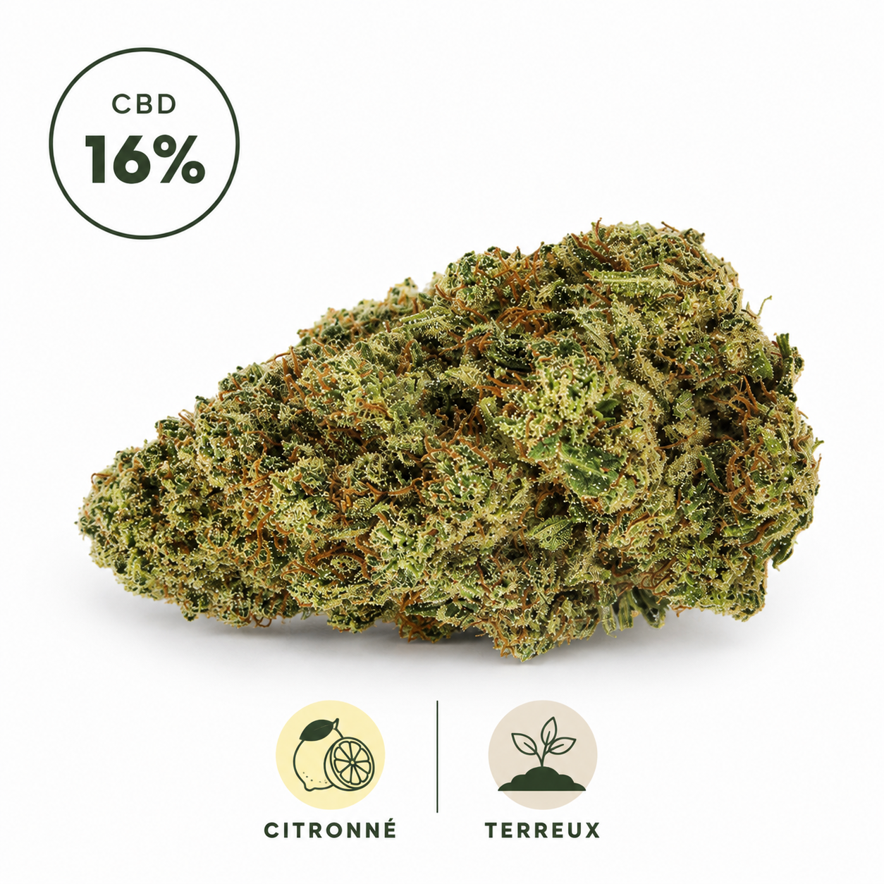 Fleur CBD Amnesia 2.0 16% Hydroponique