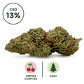 Photographie studio d'une fleur CBD Cherry Pie 13% Indoor. Cette variété premium présente des fleurs denses, riches en terpènes et soigneusement manucurées. Son profil aromatique associe la douceur gourmande des cerises confites à des notes Kush profondes et authentiques. Produit sélectionné avec soin par Le Chanvre Breton.