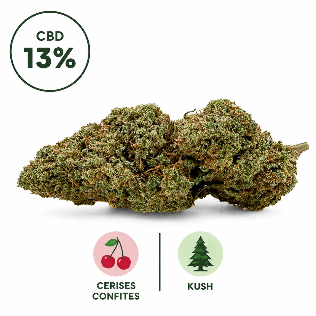 Photographie studio d'une fleur CBD Cherry Pie 13% Indoor. Cette variété premium présente des fleurs denses, riches en terpènes et soigneusement manucurées. Son profil aromatique associe la douceur gourmande des cerises confites à des notes Kush profondes et authentiques. Produit sélectionné avec soin par Le Chanvre Breton.