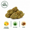 Photographie studio d'une fleur CBD OG Kush 10% cultivée en Bretagne. Cette variété premium présente des fleurs compactes et riches en terpènes. Son profil aromatique associe des notes de citron frais et d'agrumes à une subtile touche épicée, typique des génétiques OG Kush. Sélectionnée avec soin par Le Chanvre Breton.