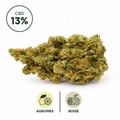 Photographie studio d'une fleur CBD Gorilla Glue 13% Indoor. Cette variété premium présente des têtes denses, riches en trichomes et pistils orangés. Son profil aromatique associe des notes intenses d'agrumes à des nuances boisées, offrant une expérience authentique et riche en terpènes. Sélectionnée par Le Chanvre Breton.