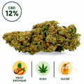 Photographie studio d'une fleur CBD Tropical Kush 12%. Cette variété premium présente des fleurs généreuses, riches en terpènes et soigneusement sélectionnées. Son profil aromatique associe des notes de fruits exotiques, un caractère Kush authentique et une touche délicatement sucrée. Produit sélectionné avec soin par Le Chanvre Breton.
